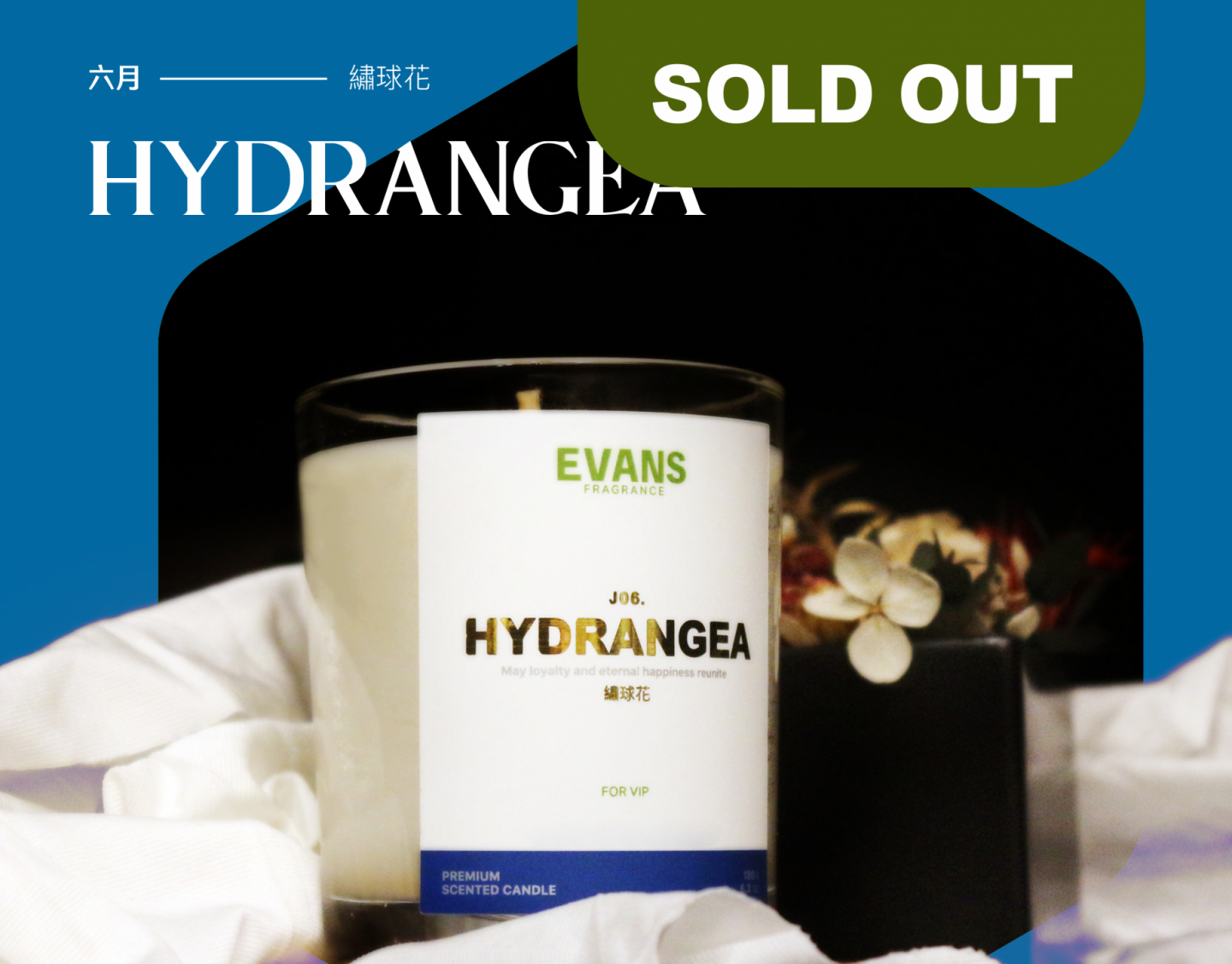 21年6月限量版｜繡球花